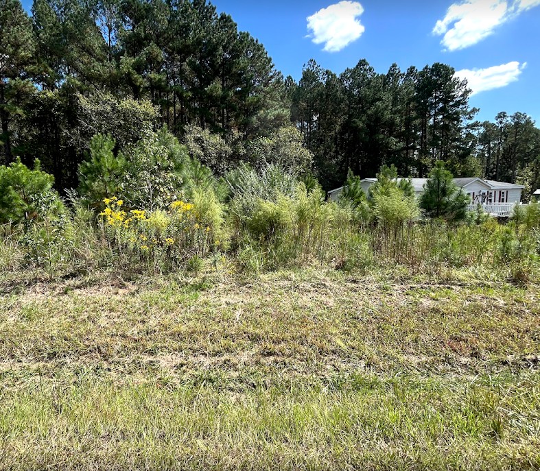 9729-fire-tower-vacant-lot-front